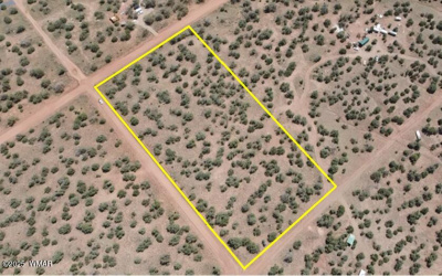 4301 Colt Road, Snowflake, Arizona 85937, ,Land,For Sale,Colt,256727