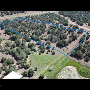 Aerial 3