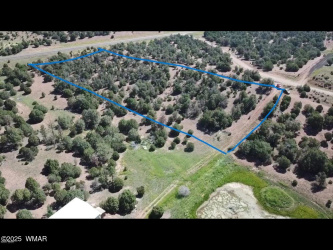 TBD State Route 260, Clay Springs, Arizona 85923, ,Land,For Sale,State Route 260,256729