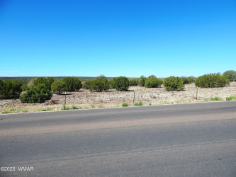 8061 White Mountain Lake Road, Show Low, Arizona 85901, ,Land,For Sale,White Mountain Lake,256728