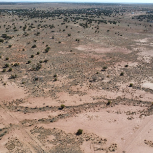 DJI_0067