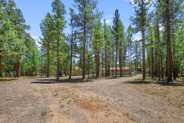 646 Reata Pass, Happy Jack, Arizona 86024, Bedrooms, ,Residential,For Sale,Reata Pass,92474