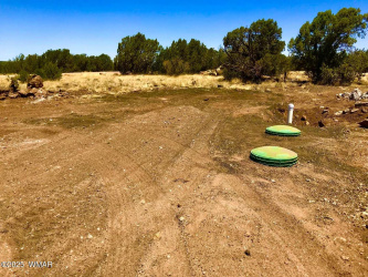 8486 Cannon Boulevard, Show Low, Arizona 85901, ,Land,For Sale,Cannon,256704