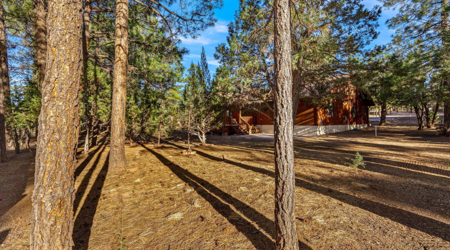 2202ForestParkDr-Heber-AZ-37