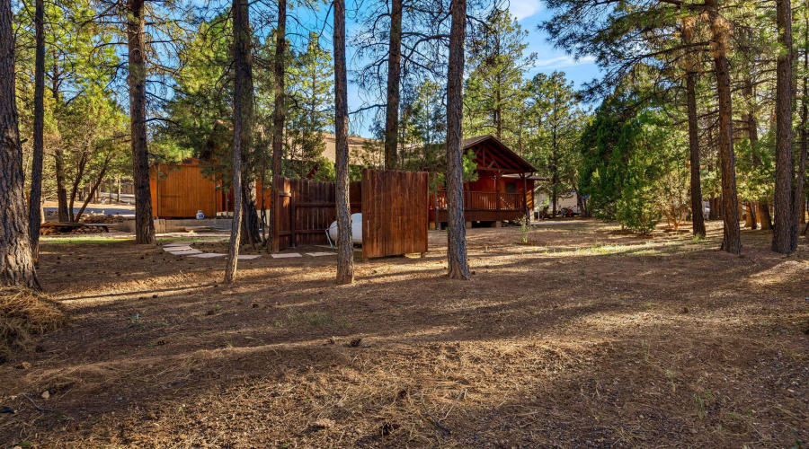 2202ForestParkDr-Heber-AZ-38