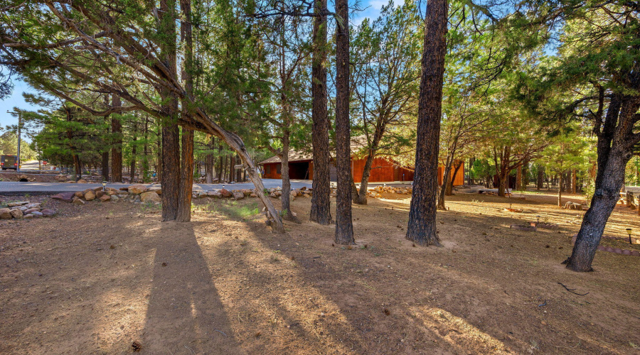 2202ForestParkDr-Heber-AZ-39