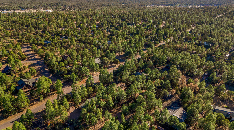 2202ForestParkDr-Heber-AZ-44