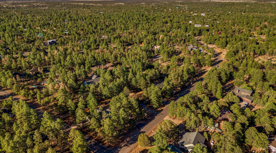 2202ForestParkDr-Heber-AZ-46