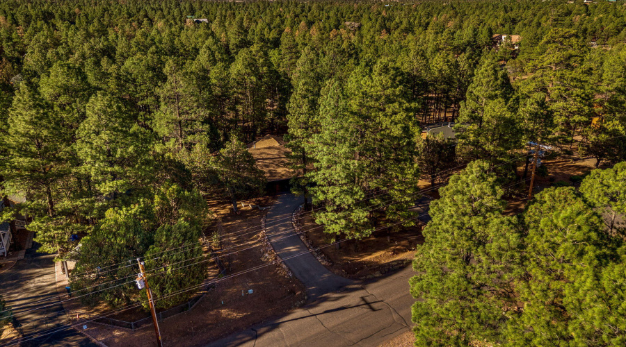 2202ForestParkDr-Heber-AZ-47