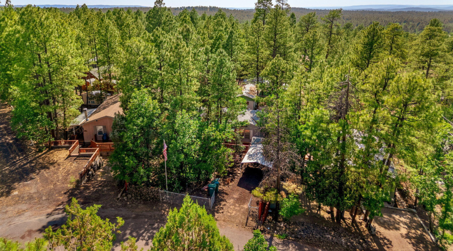 1938WalnutCreekLp-Pinetop-AZ-26