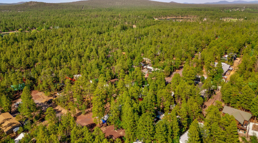 1938WalnutCreekLp-Pinetop-AZ-29