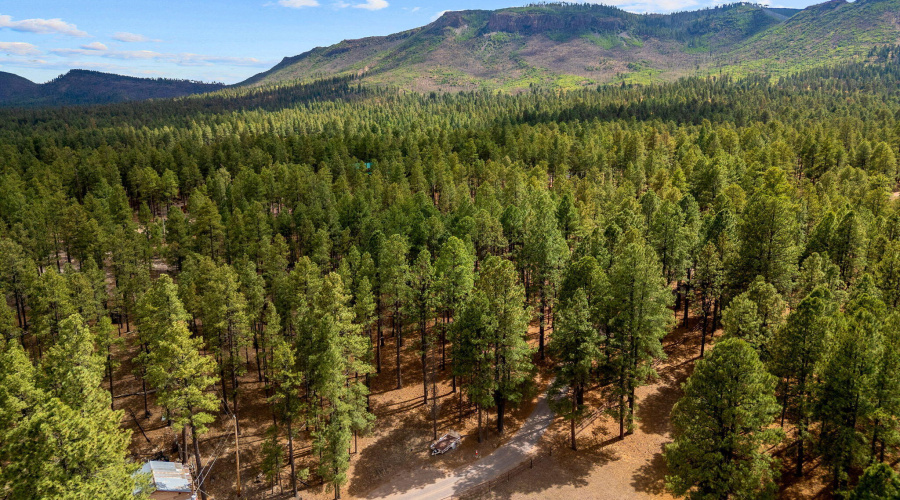 CountyRoad2325-Alpine-AZ-9