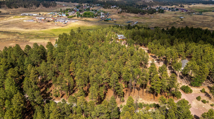 CountyRoad2325-Alpine-AZ-10