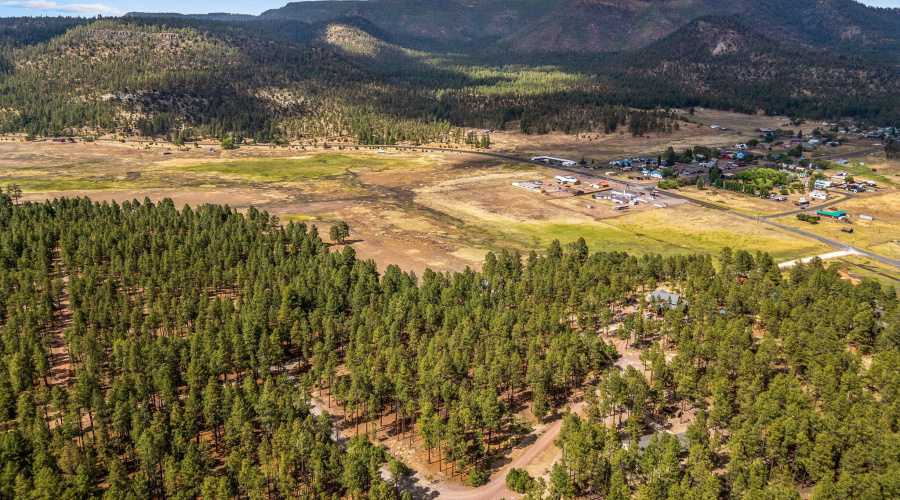 CountyRoad2325-Alpine-AZ-12