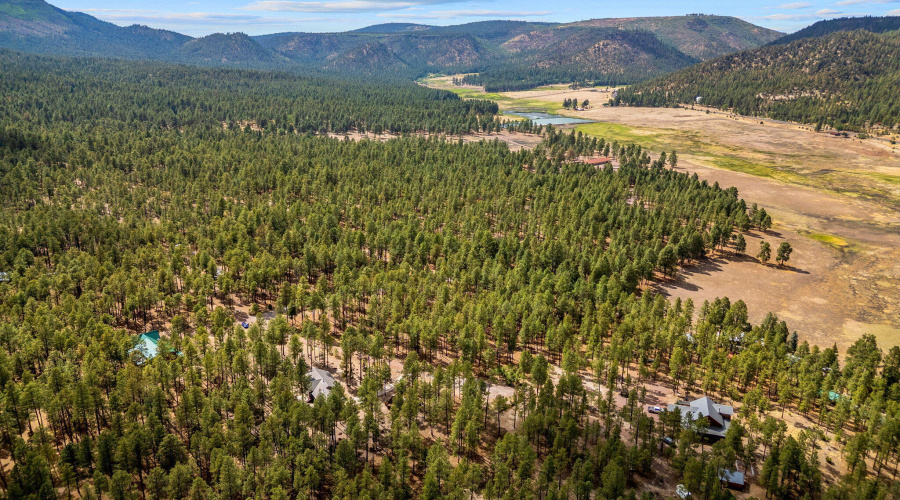 CountyRoad2325-Alpine-AZ-13