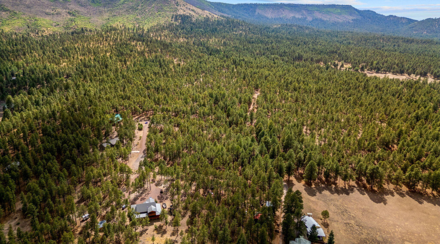 CountyRoad2325-Alpine-AZ-14