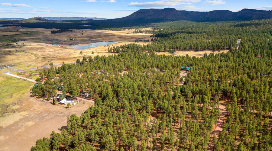 CountyRoad2325-Alpine-AZ-15