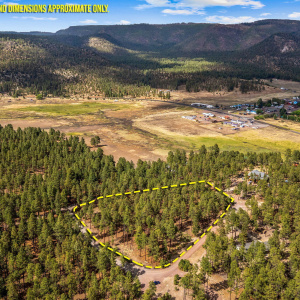 CountyRoad2325-Alpine-AZ-18