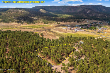 TBD CR2325, Alpine, Arizona 85920, ,Land,For Sale,CR2325,256739