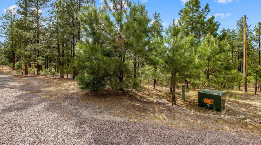 CountyRoad2325-Alpine-AZ-1