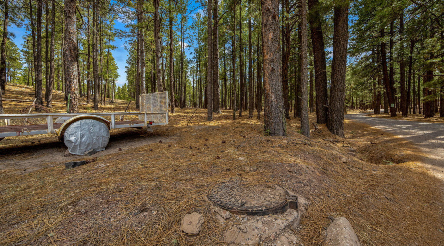 CountyRoad2325-Alpine-AZ-5