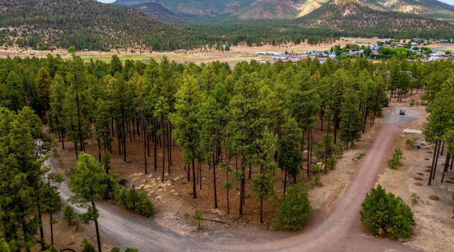 CountyRoad2325-Alpine-AZ-7