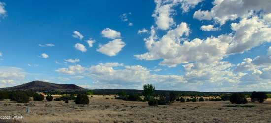 1 County Road 5088, Concho, Arizona 85924, ,Land,For Sale,County Road 5088,256741