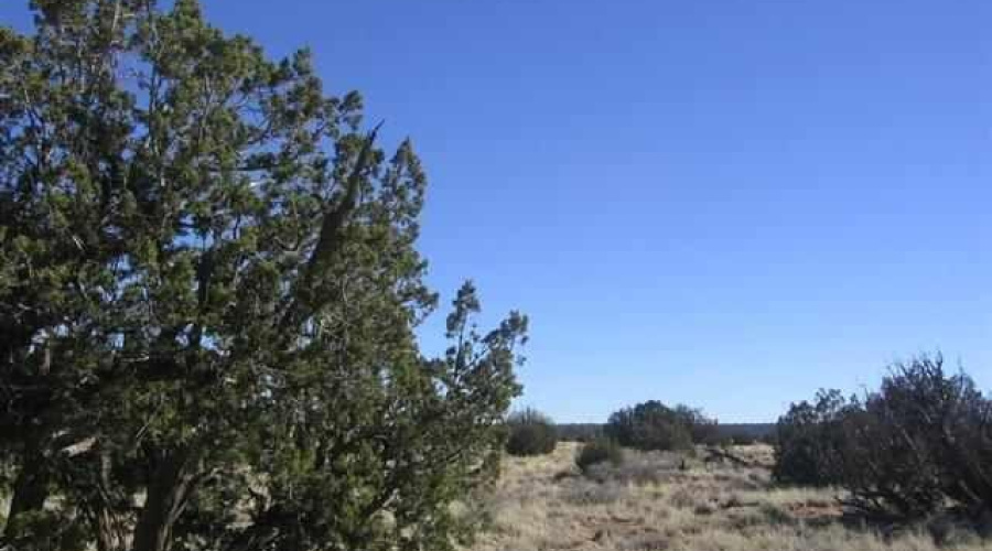 20230619195746031374000000-o