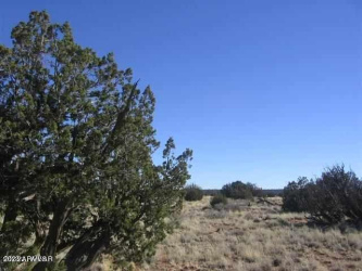 0 Sec 31 T15N, R16E:Nw4 Se4, Heber, Arizona 85928, ,Land,For Sale,Sec 31 T15N,R16E:Nw4 Se4,92483