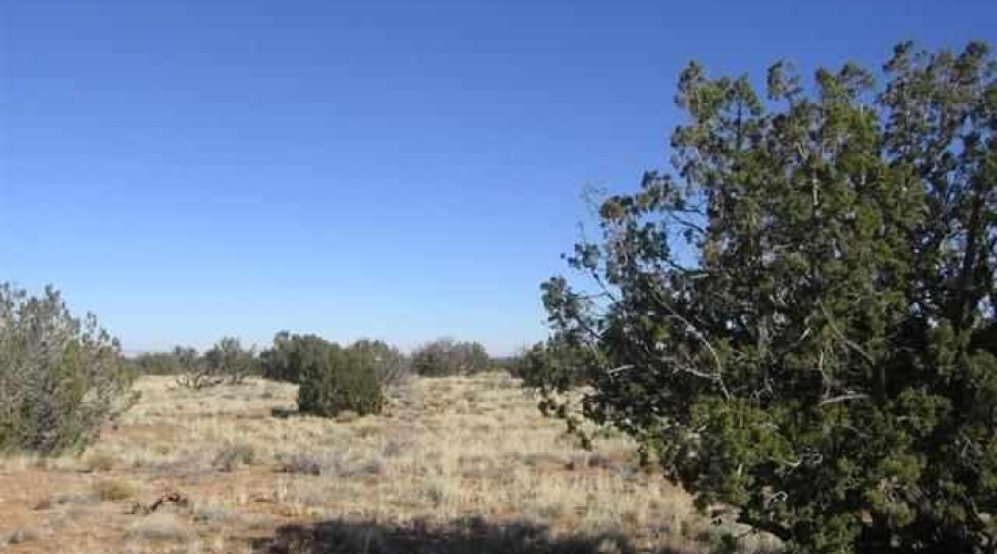 20230619195756763238000000-o