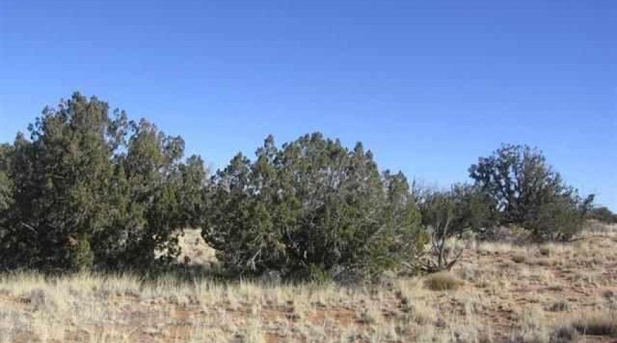 20230619195809735432000000-o