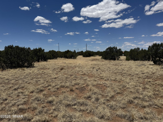 8507 Ossendorf Place, Show Low, Arizona 85901, ,Land,For Sale,Ossendorf,256753