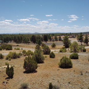The White Mountains are in the distance.