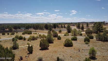 1060 Linden Valley Road, Show Low, Arizona 85901, ,Land,For Sale,Linden Valley,256755