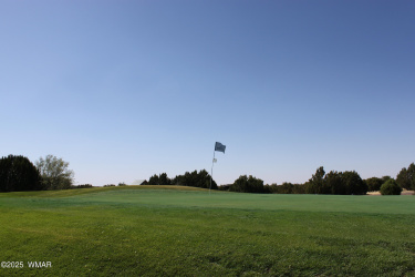 8378 Lake View Drive, Show Low, Arizona 85901, ,Land,For Sale,Lake View,256750
