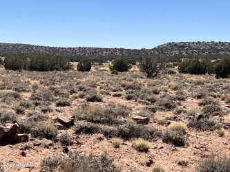3865 Dia Estrella Road, Snowflake, Arizona 85937, ,Land,For Sale,Dia Estrella,240802