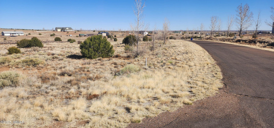 1251 Harvest Circle, Taylor, Arizona 85939, ,Land,For Sale,Harvest,255318