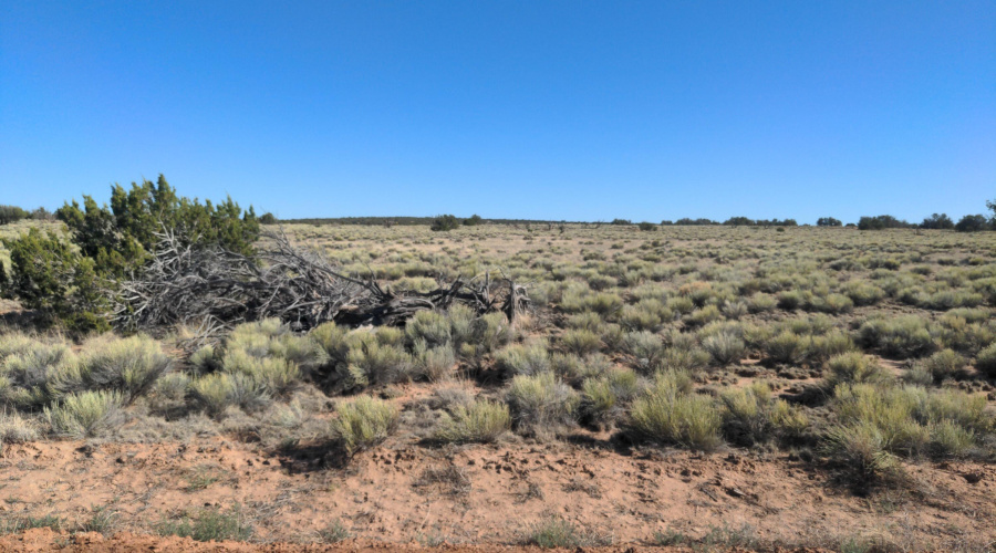 IMG_20250622_164212_159