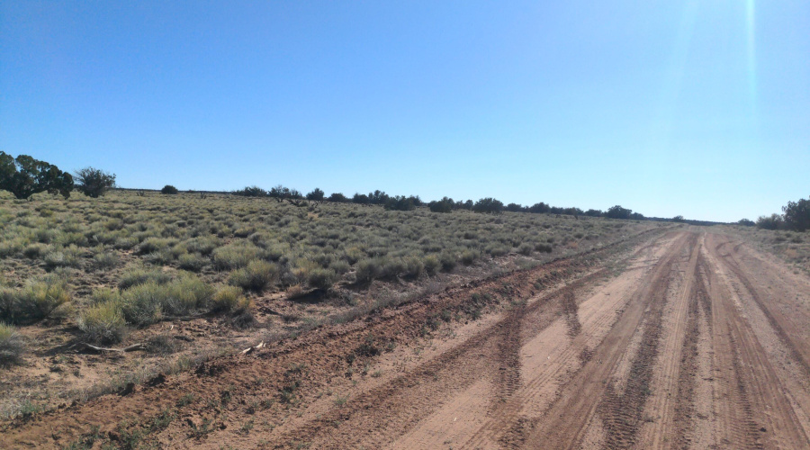 IMG_20250622_164219_788