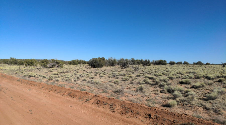 IMG_20250622_164242_501