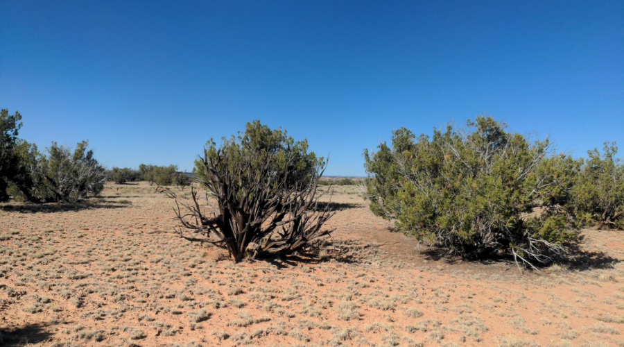 IMG_20250622_162415_609