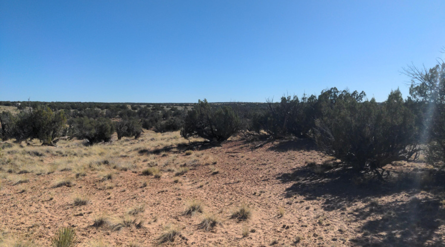 IMG_20250622_162526_427