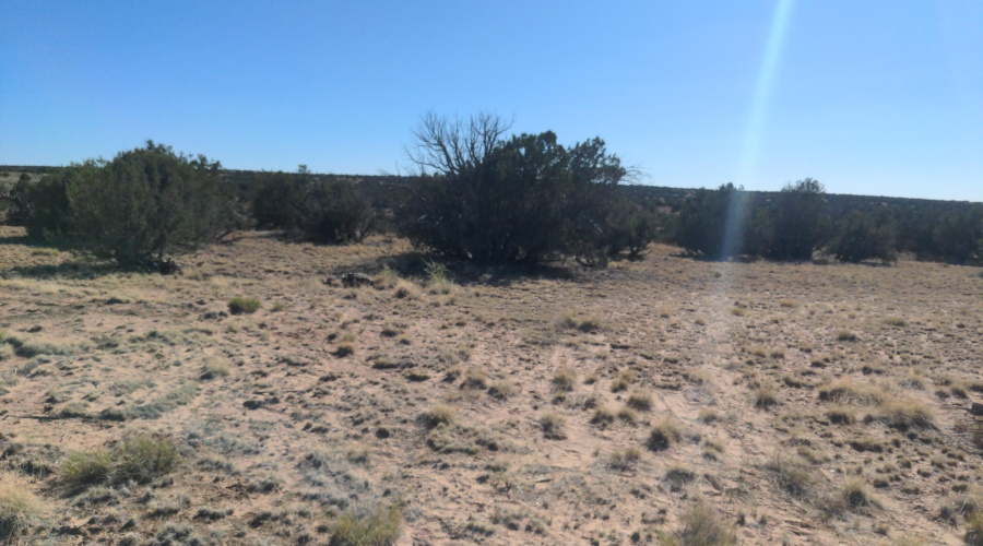 IMG_20250622_162645_877