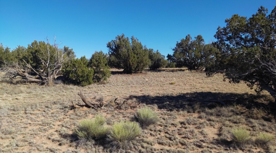 IMG_20250622_162801_544