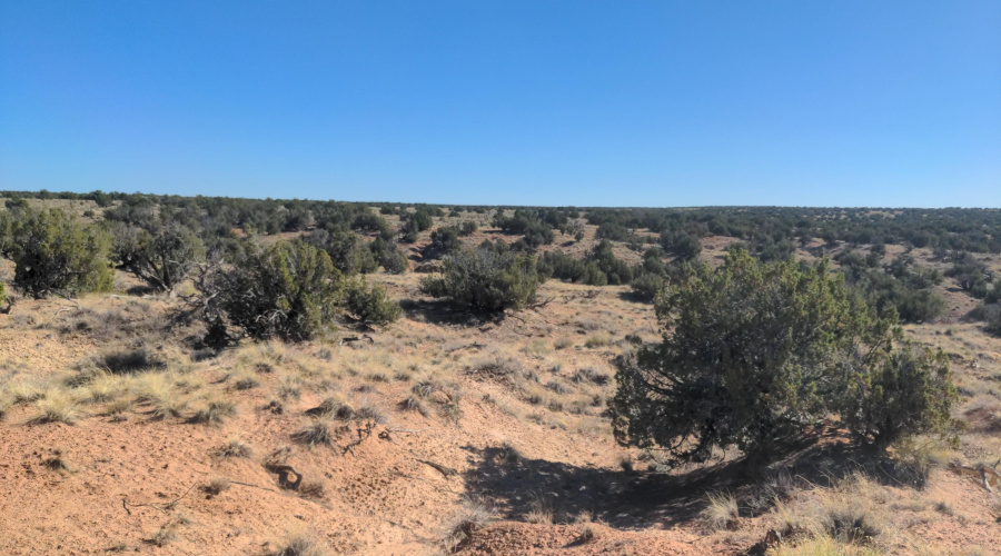 IMG_20250622_163419_218