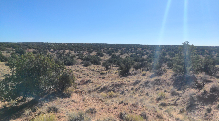 IMG_20250622_163424_909