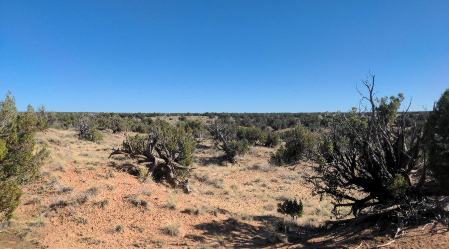 IMG_20250622_163439_979