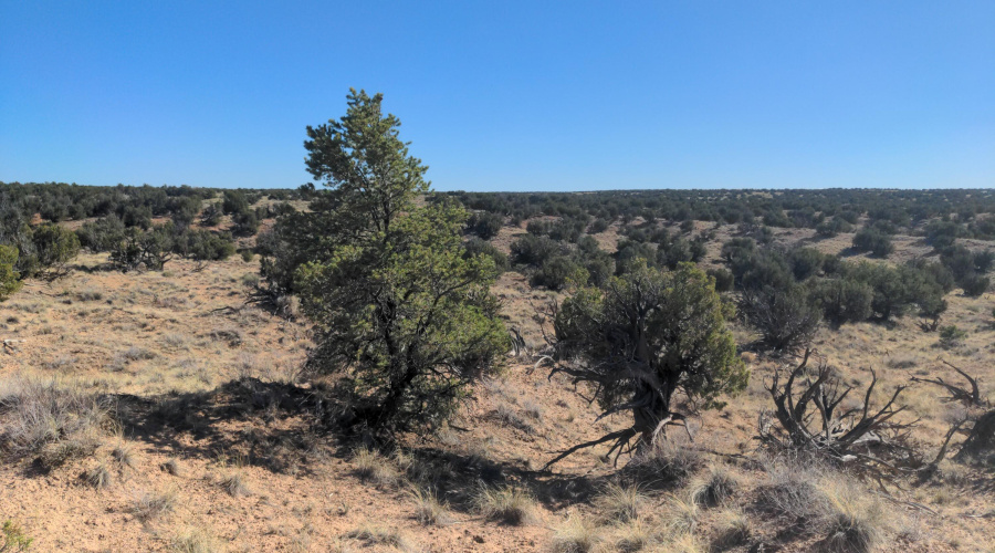 IMG_20250622_163605_783