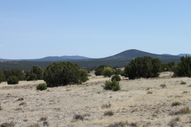 36 County Road 8249, Concho, Arizona 85924, ,Land,For Sale,County Road 8249,256749