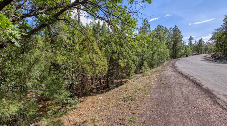 photo(7) 2038 Pine Wood Lane PT Kat 0625